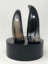 Load image into Gallery viewer, Decorative Horn | Sculptures - Roughan Home