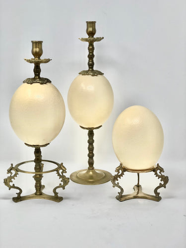 Ostrich Egg | Brass Candlesticks - Roughan Home