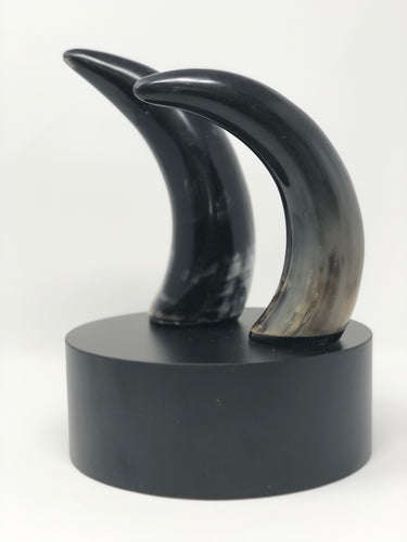 Decorative Horn | Sculptures - Roughan Home