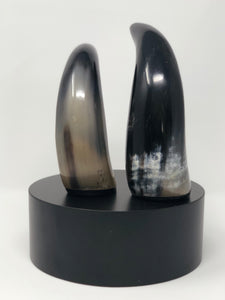 Decorative Horn | Sculptures - Roughan Home